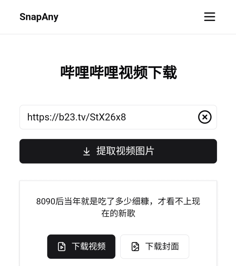 SnapAny-万能视频图片解析下载网站,支持全球1000+平台。