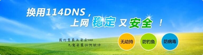 114DNS:提升上网体验的强大公共DNS服务。