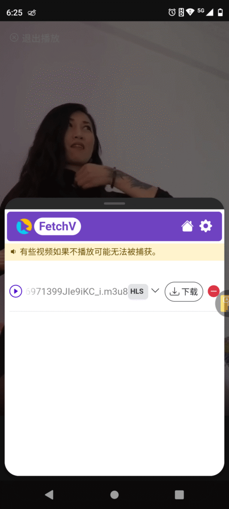 Fetchv